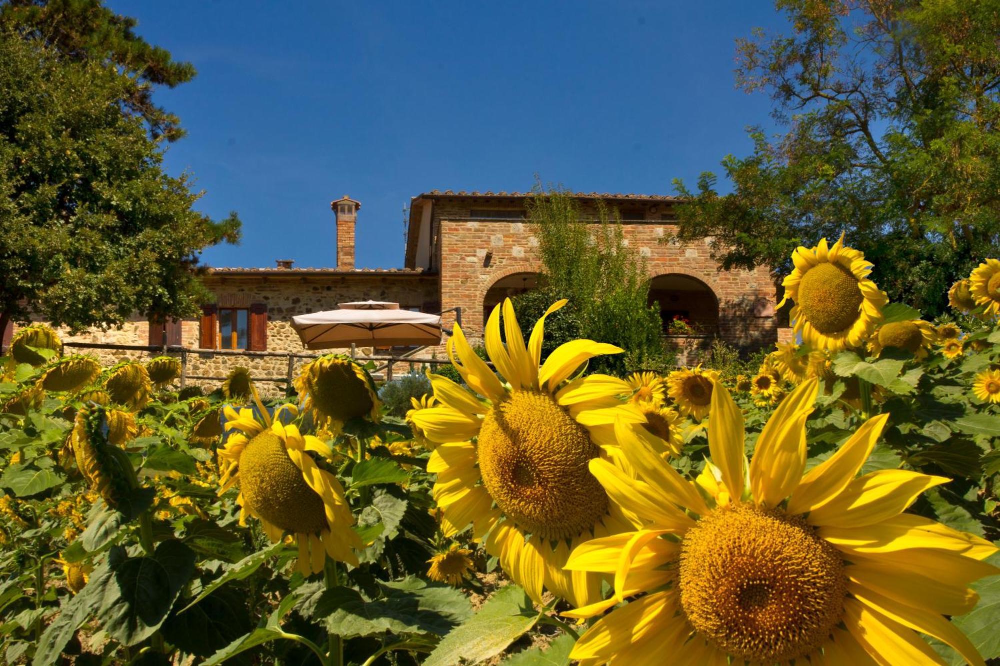Poggio Cantarello Vacanze Chiusi Exterior photo
