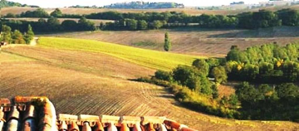Poggio Cantarello Vacanze Chiusi Exterior photo